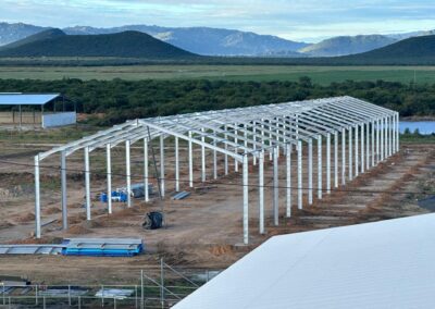 Milking Sheds (Tanzania)